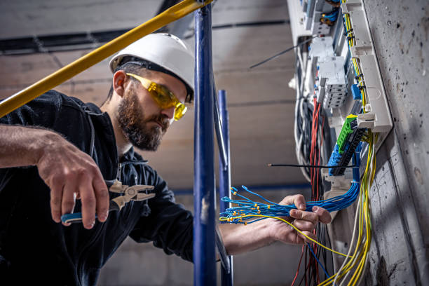 Best Ceiling Fan Installation Electrician  in West Rancho Dominguez, CA