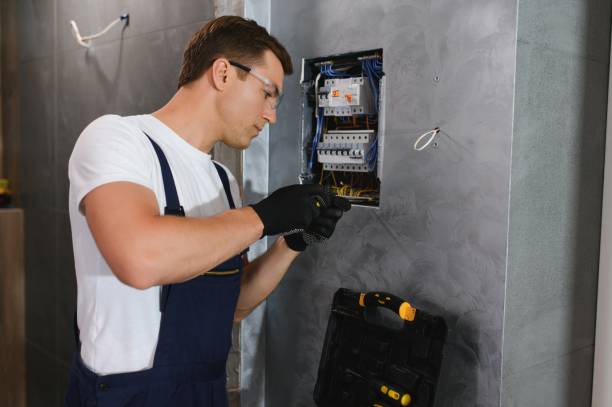 Best Electrical System Inspection  in West Rancho Dominguez, CA
